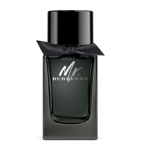 mr burberry eau de parfum 30ml|mr burberry indigo 100ml.